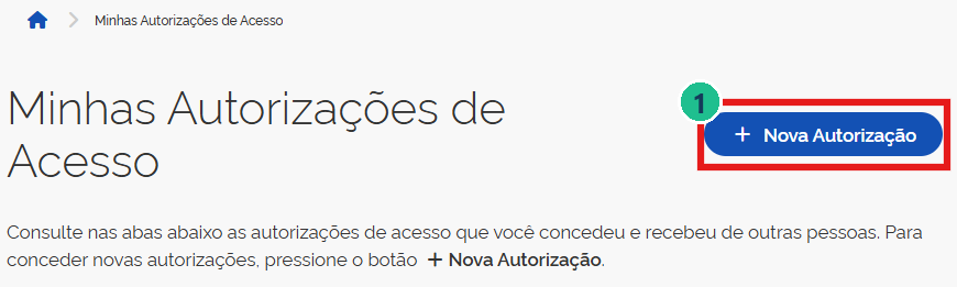 Tela Minhas Autorizações de Acesso com o botão + Nova Autorização marcado