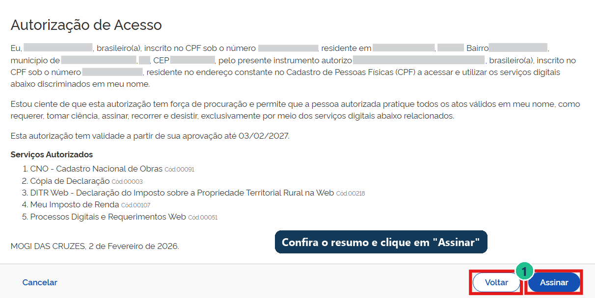Resumo da Autorização de Acesso com os botões Voltar e Assinar marcados